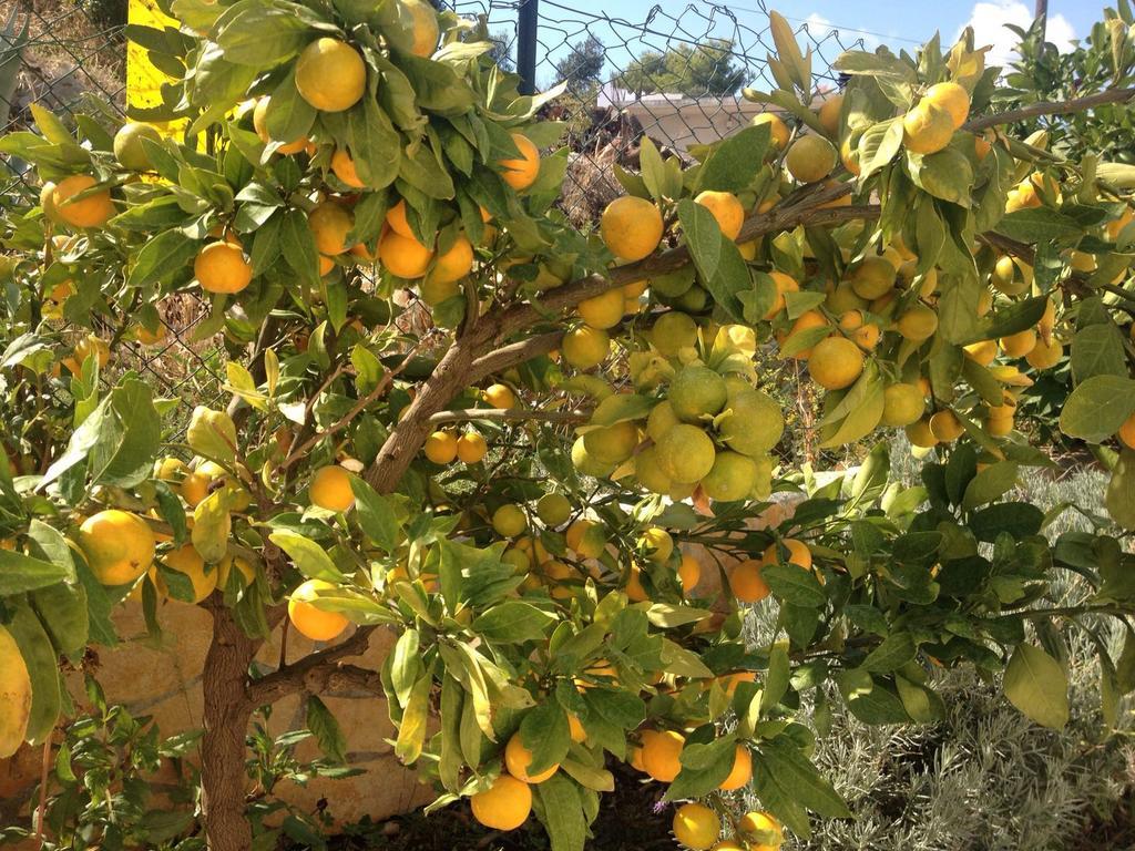 Villa Lavendel Τρογκίρ Εξωτερικό φωτογραφία