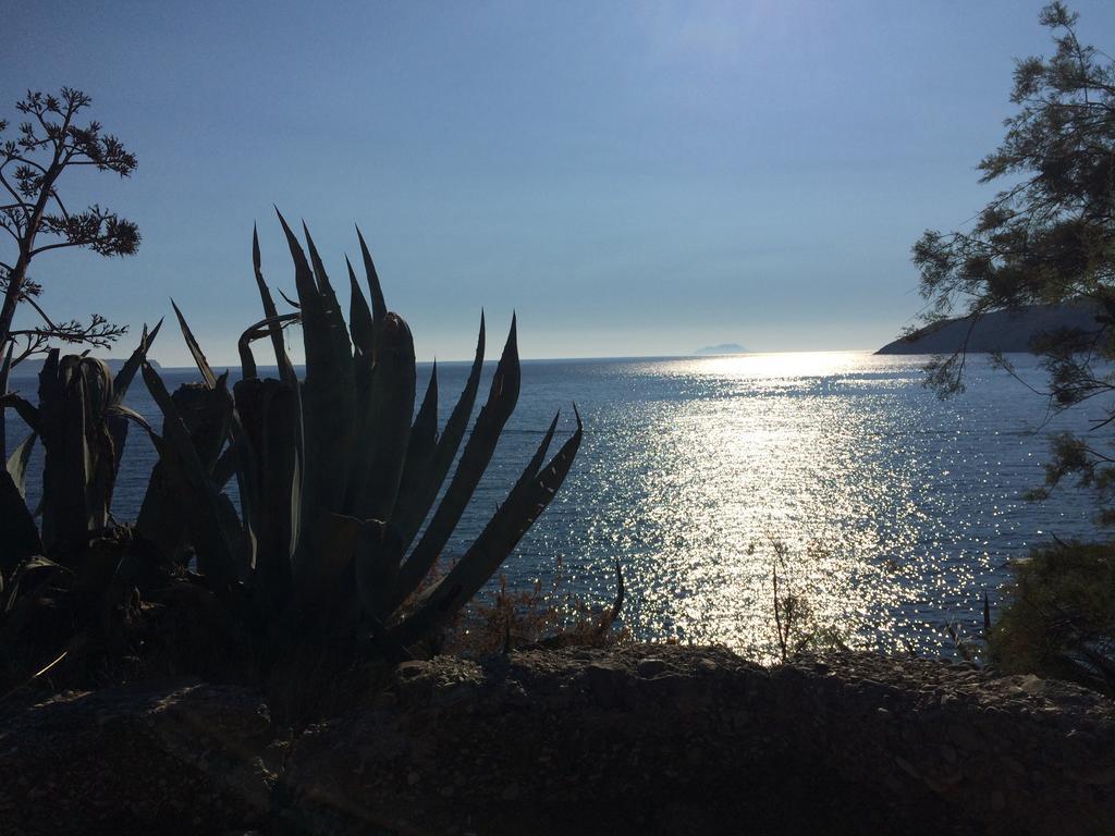 Villa Lavendel Τρογκίρ Εξωτερικό φωτογραφία