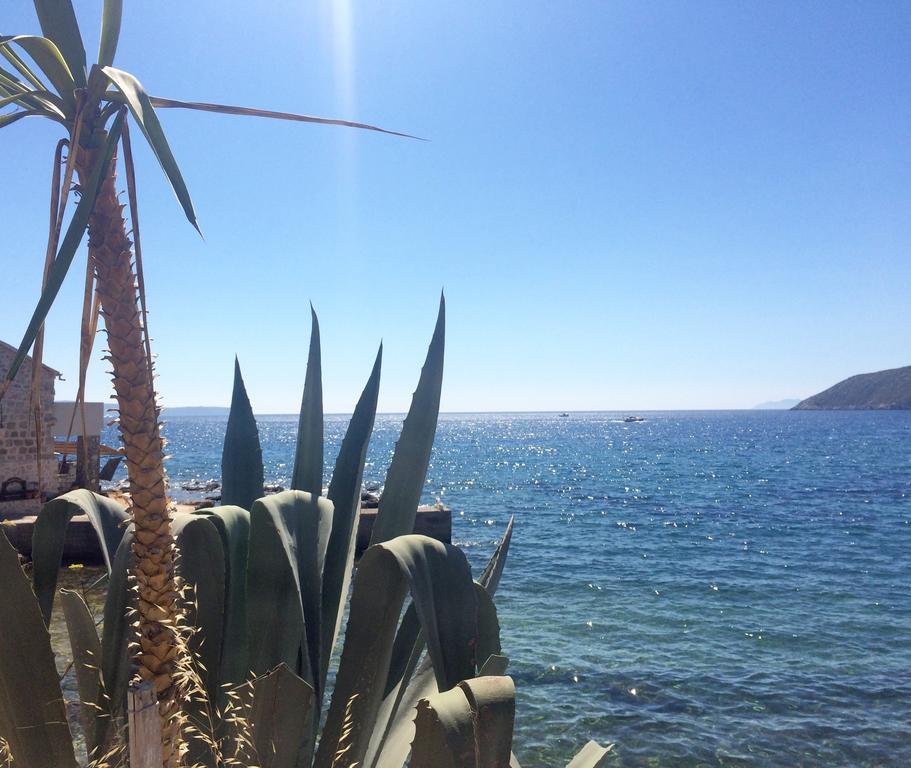 Villa Lavendel Τρογκίρ Εξωτερικό φωτογραφία