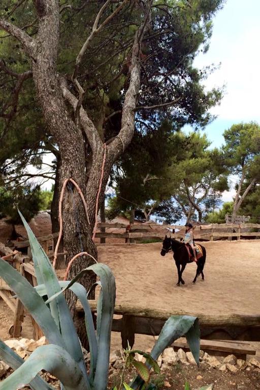 Villa Lavendel Τρογκίρ Εξωτερικό φωτογραφία