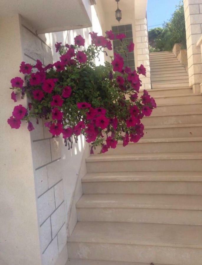 Villa Lavendel Τρογκίρ Εξωτερικό φωτογραφία